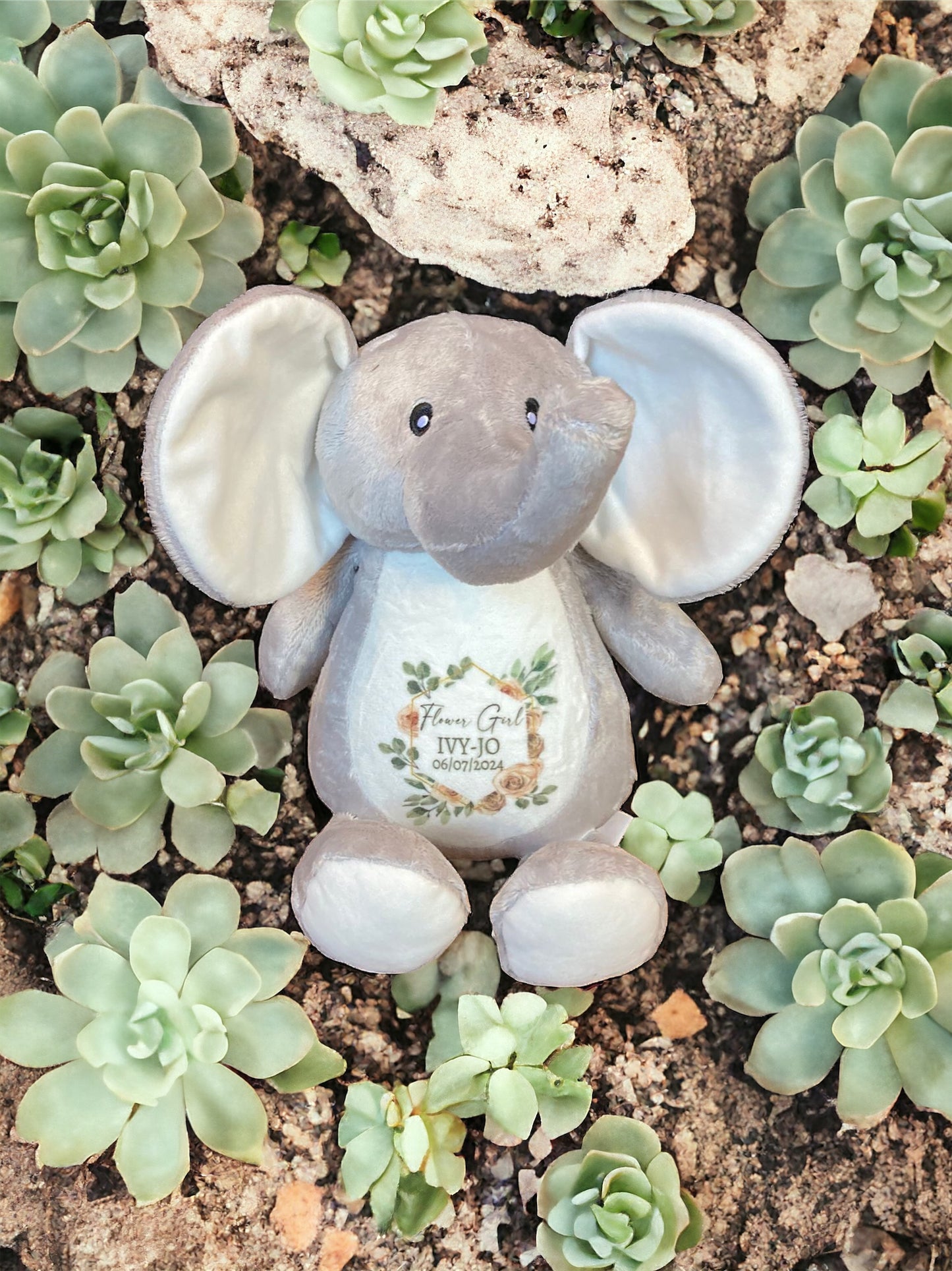 Plush Teddy Range