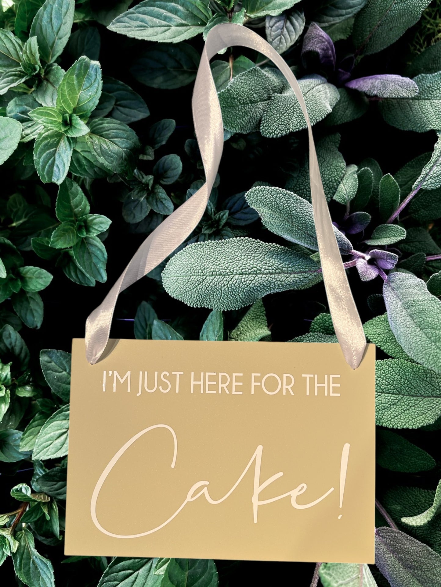 Hanging Signs & Paddles