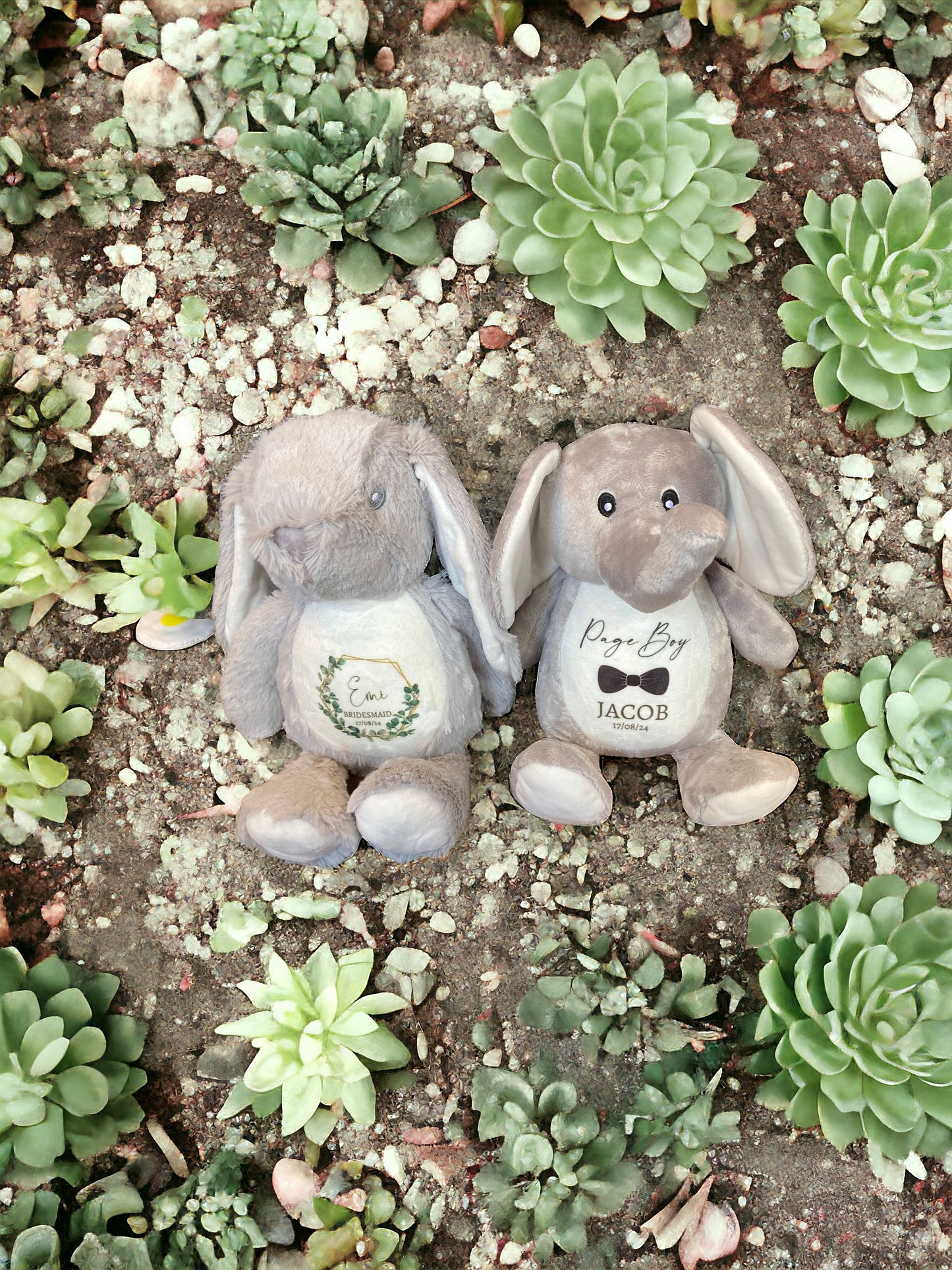 Plush Teddy Range