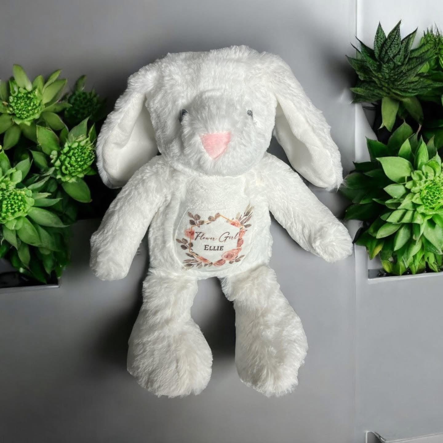 Plush Teddy Range