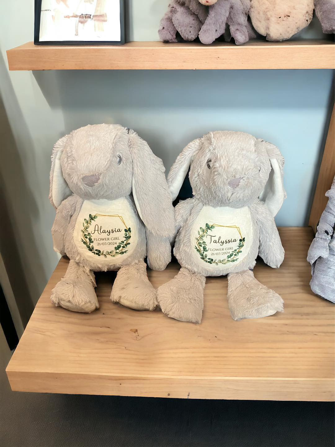 Plush Teddy Range