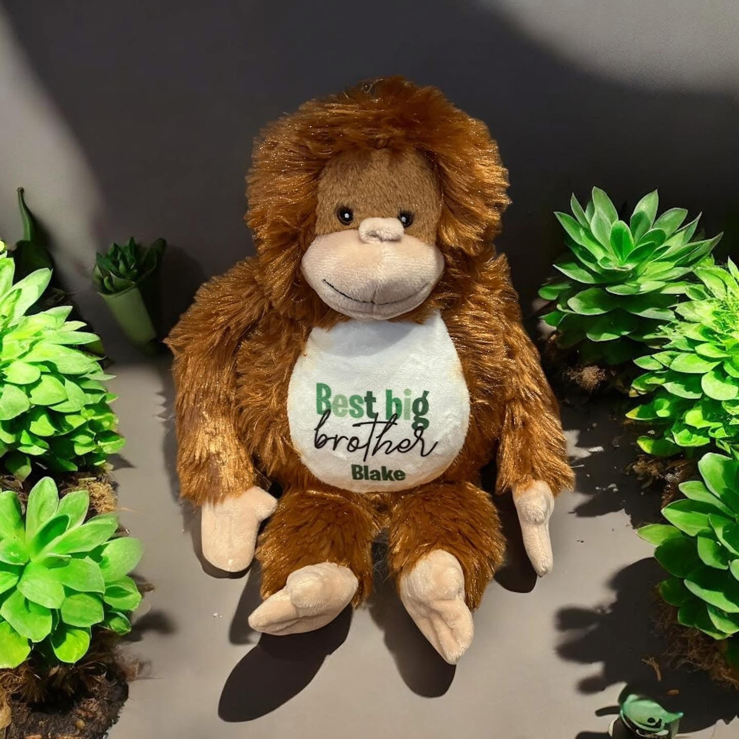 Plush Teddy Range