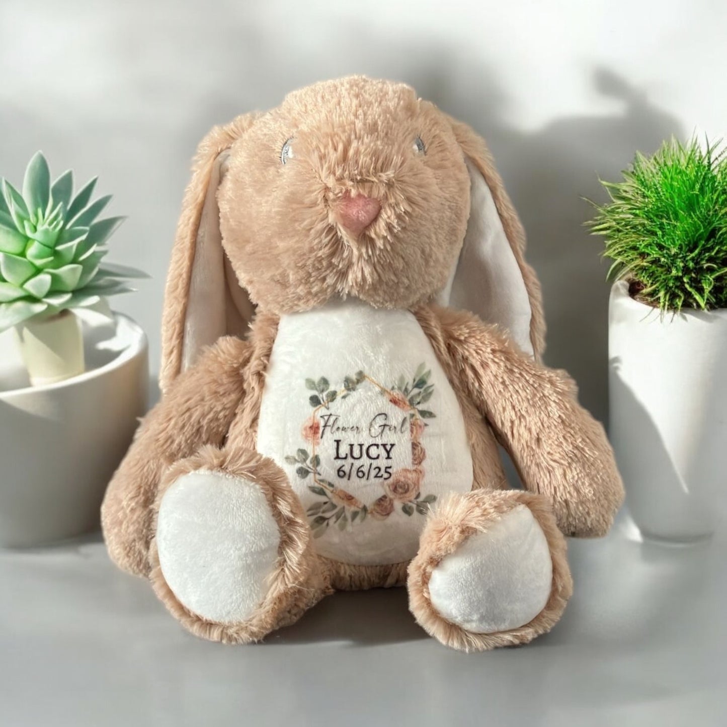Plush Teddy Range
