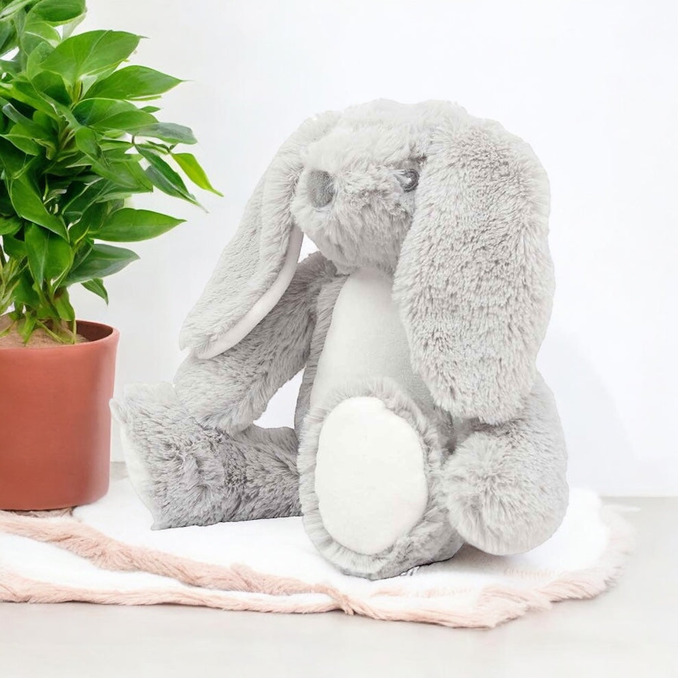 Plush Teddy Range