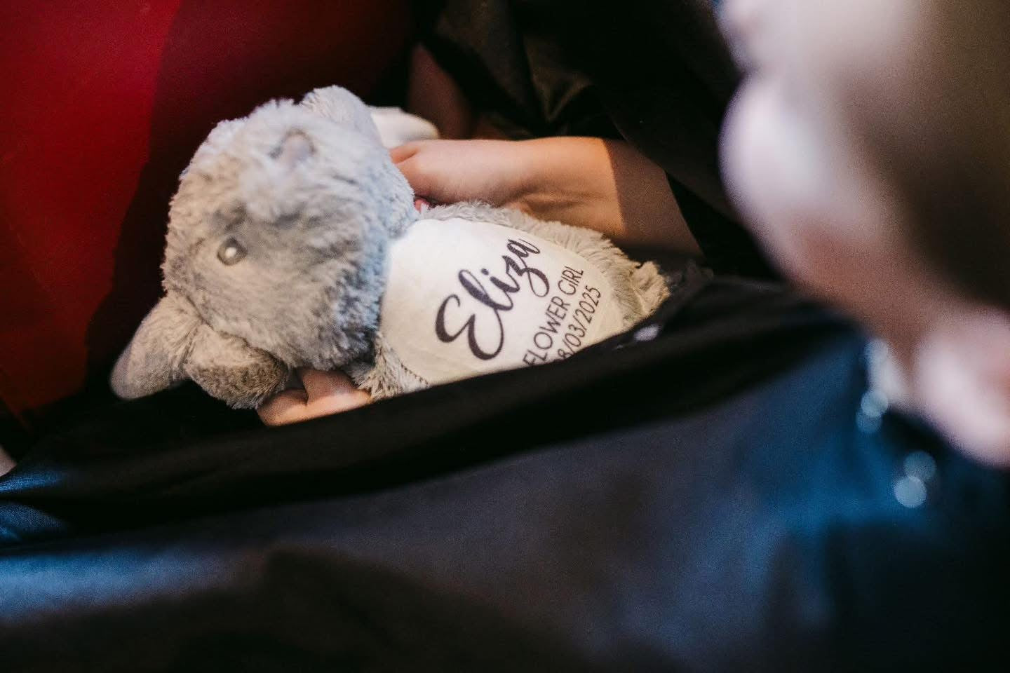 Plush Teddy Range