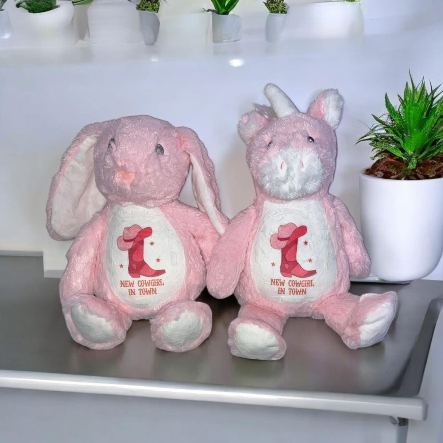 Plush Teddy Range