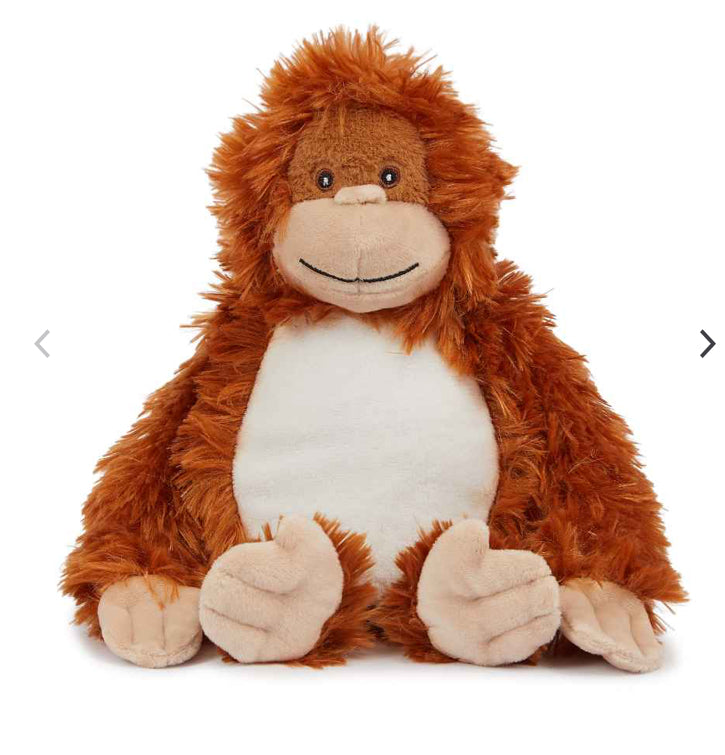 Plush Teddy Range