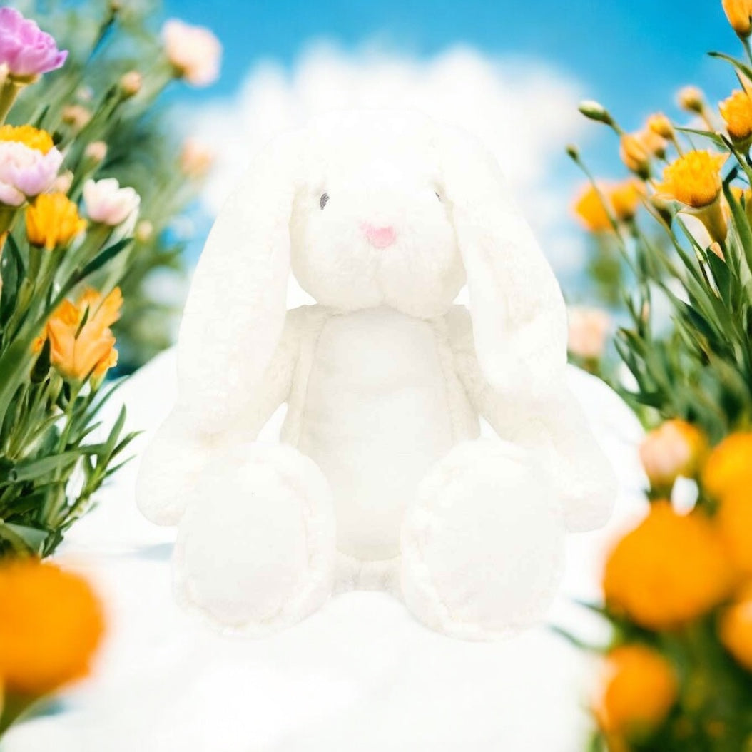 Plush Teddy Range