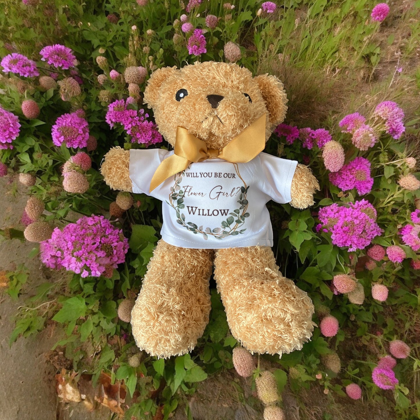 Plush Teddy Range