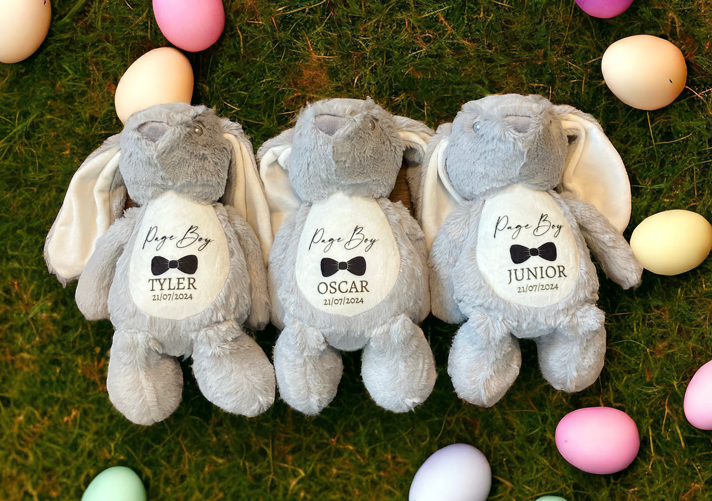 Plush Teddy Range